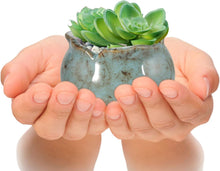 Load image into Gallery viewer, Laerjin Succulent Pots - 4&quot;
