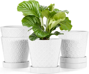 White Ceramic Plant Pots - 5 inch