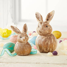 Load image into Gallery viewer, Bunny Buddy - Small
