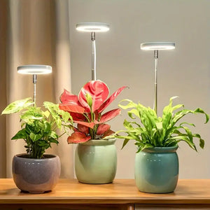 LED Grow Light