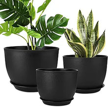 Load image into Gallery viewer, Black Plastic Pot - Small 9&quot;
