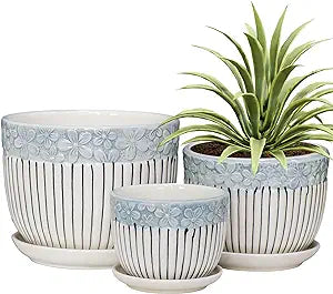 Ceramic Flower Pot - 5.5"