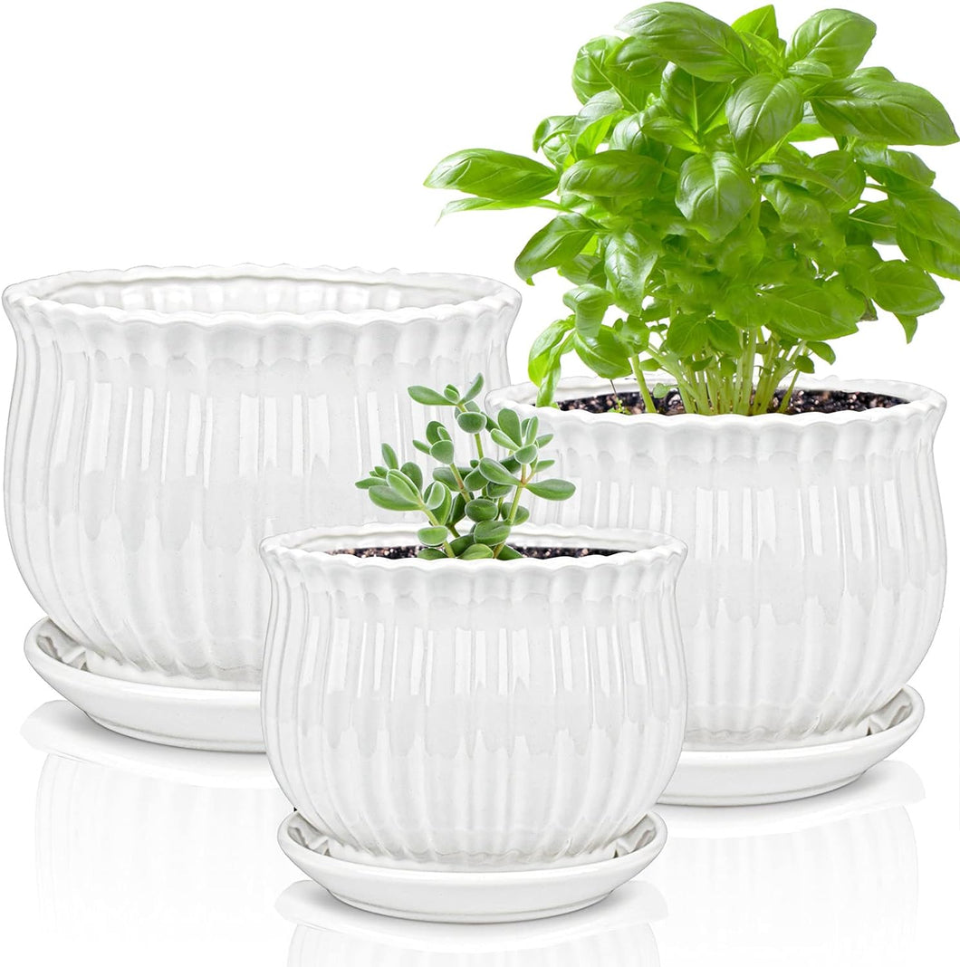 Ceramic Flower Plant Pot with Saucer - 5.5