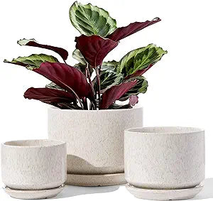 Beige Ceramic Plant Pot - Small 4.3