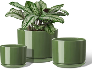 Green Ceramic Planter - Medium
