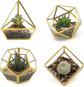 Mini Glass Geometric Terrarium Container