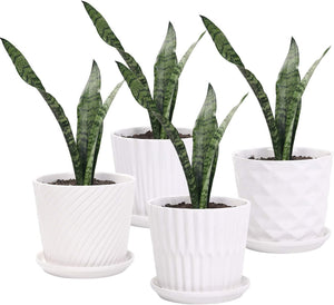 Ceramic Planters with Connected Saucer - 5.5 Inch