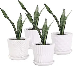 Ceramic Planters with Connected Saucer - 4.7 Inch
