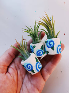 The Forget Me Not Mini Planter