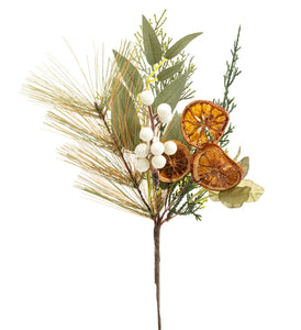 Dried Orange Foliage Berry Pick