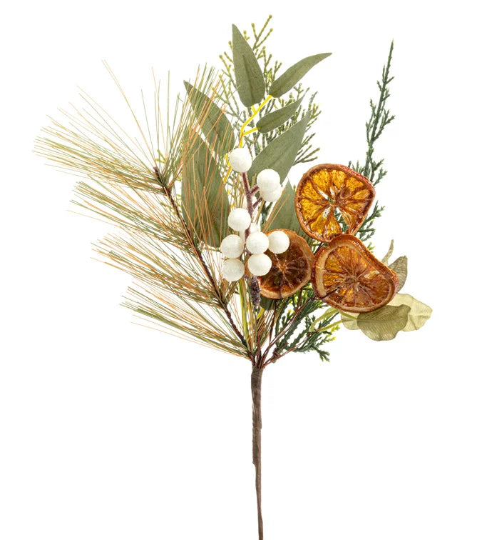Dried Orange Foliage Berry Pick