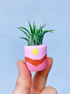 Terrain Baby Planter