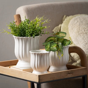 MATTE WHITE SCALLOPED PLANTER - LARGE