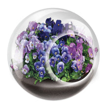 Load image into Gallery viewer, Tiny Terrariums Flowering
