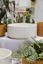 Load image into Gallery viewer, 10&quot; Beam Bowl
