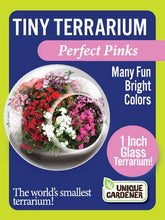 Load image into Gallery viewer, Tiny Terrariums Flowering
