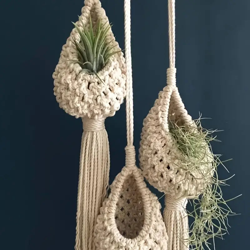 Macrame Airplant Holder