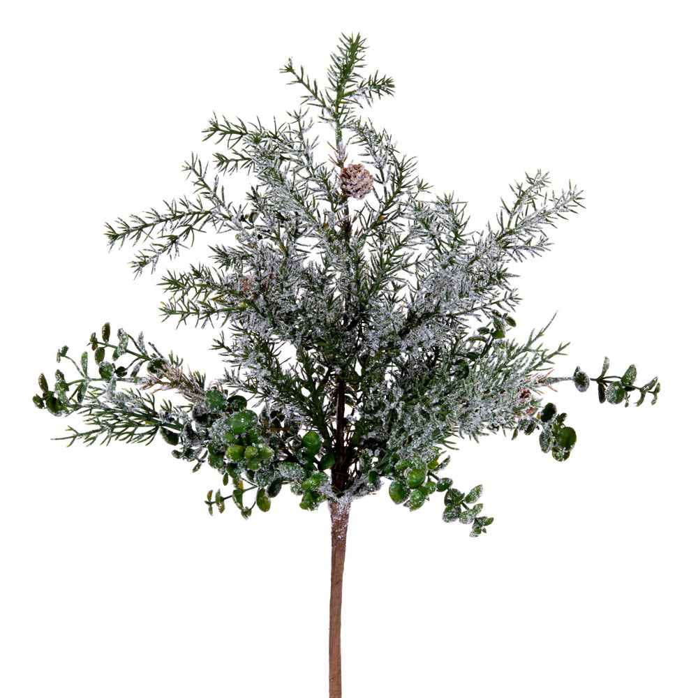 Green Snow Cedar and Eucalyptus Bush - 20