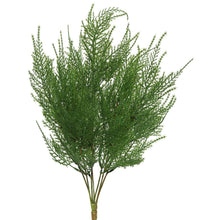 Load image into Gallery viewer, Artificial Green Asparagus Bush - 19.5&quot;
