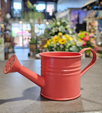 Load image into Gallery viewer, Mini Watering Can Planter
