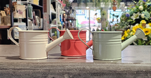 Mini Watering Can Planter