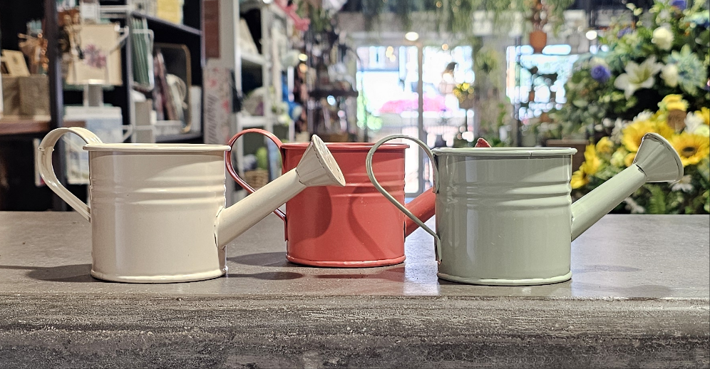 Mini Watering Can Planter