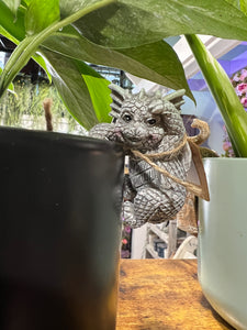 Resin Dragon Pot Hugger