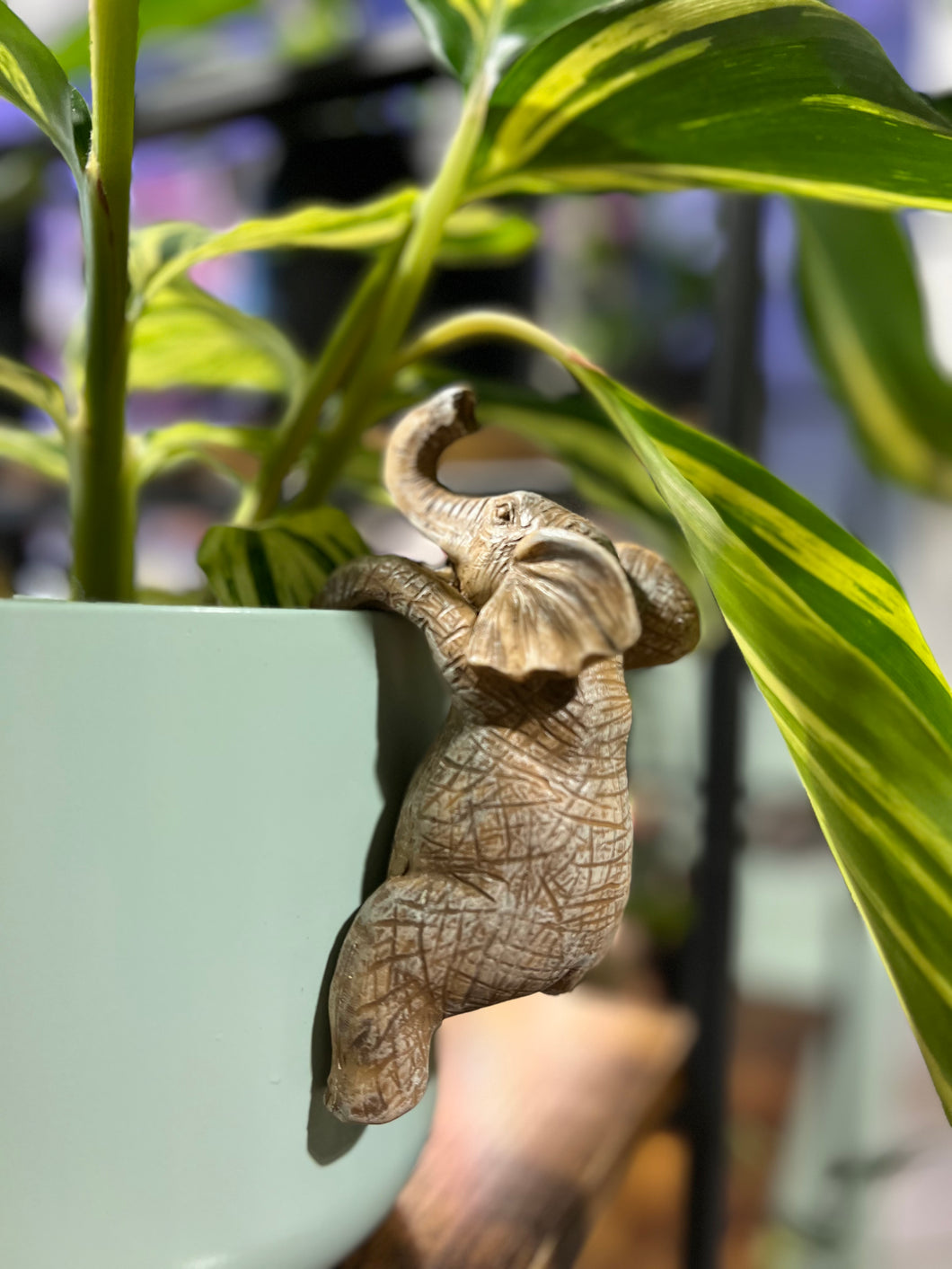 Elephant Pot Hugger