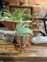 Load image into Gallery viewer, Wire Airplant Holder

