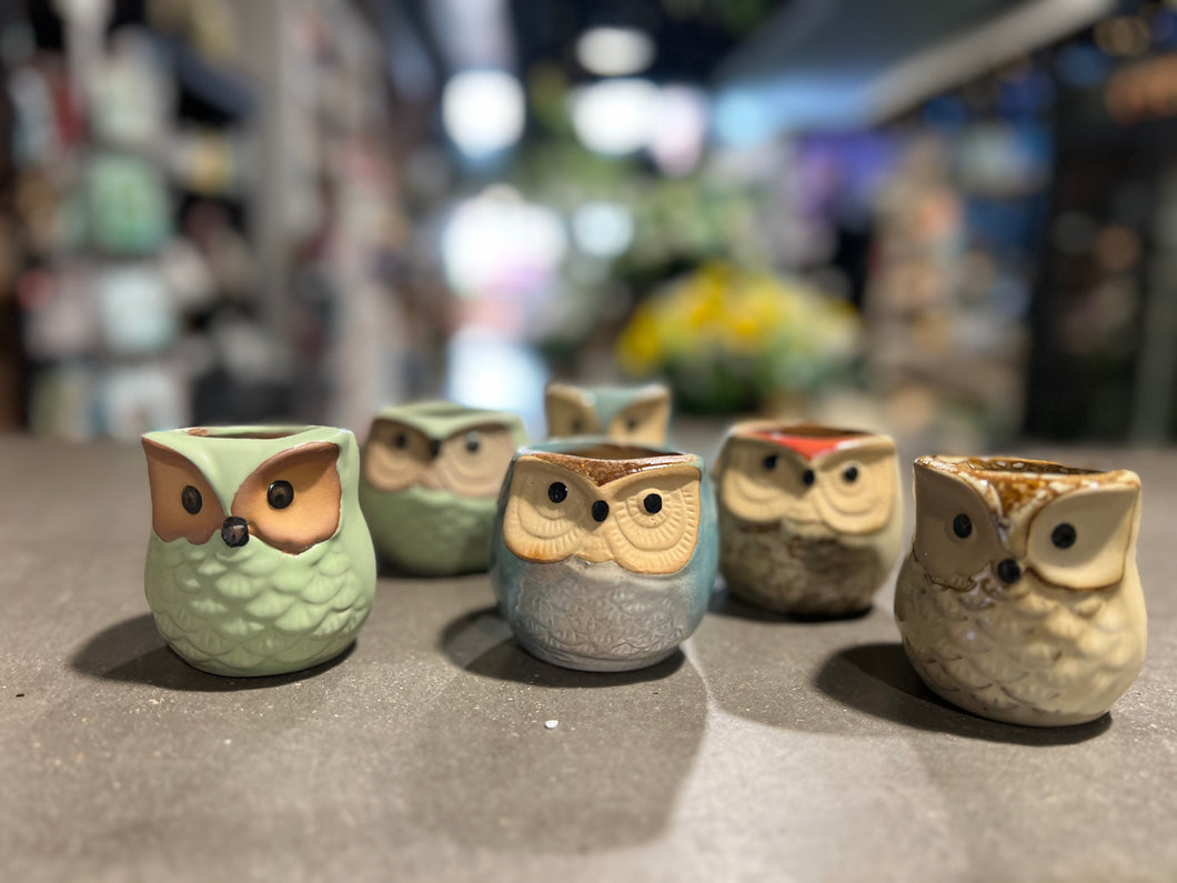 Owl Succulent Planter
