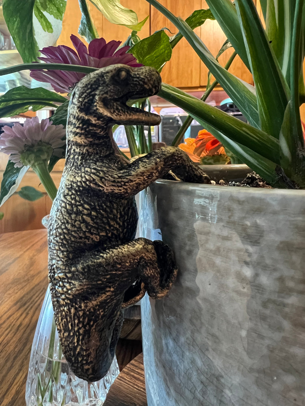 Resin Dino Pot Hugger