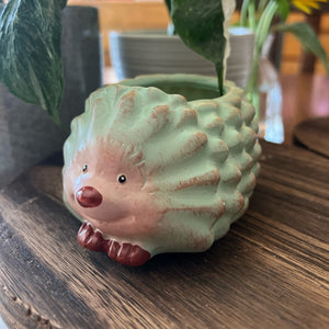 Hedgehog Resin Planter