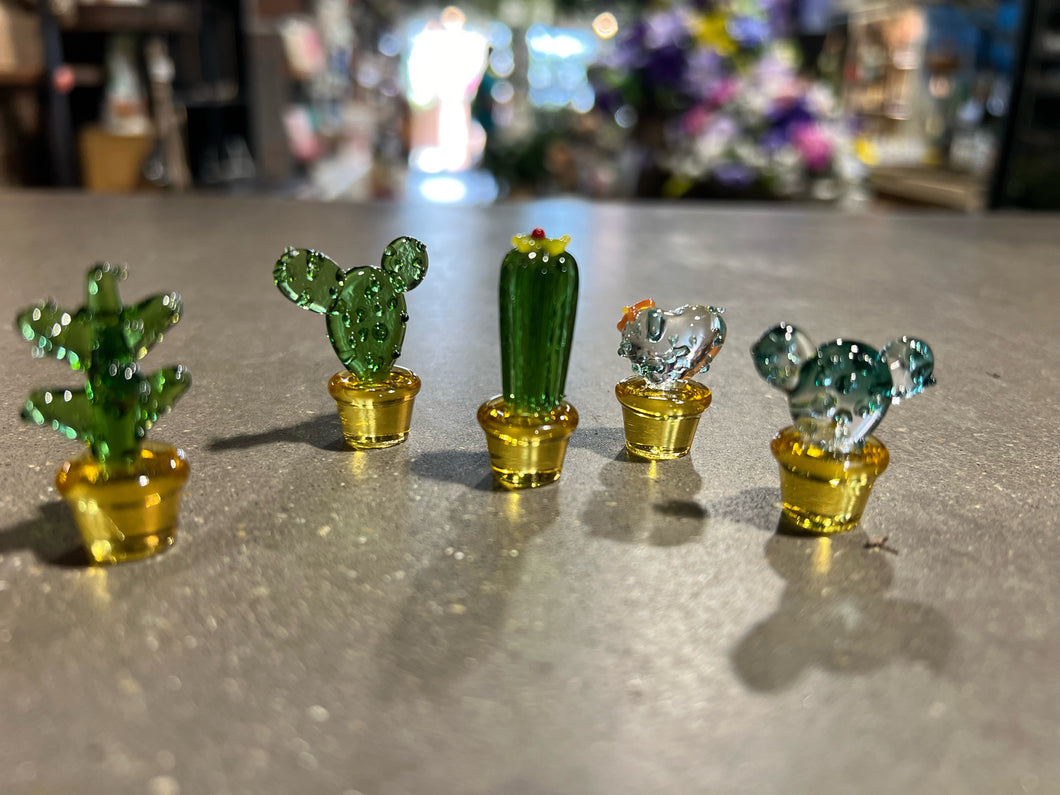 Mini Glass Cactus
