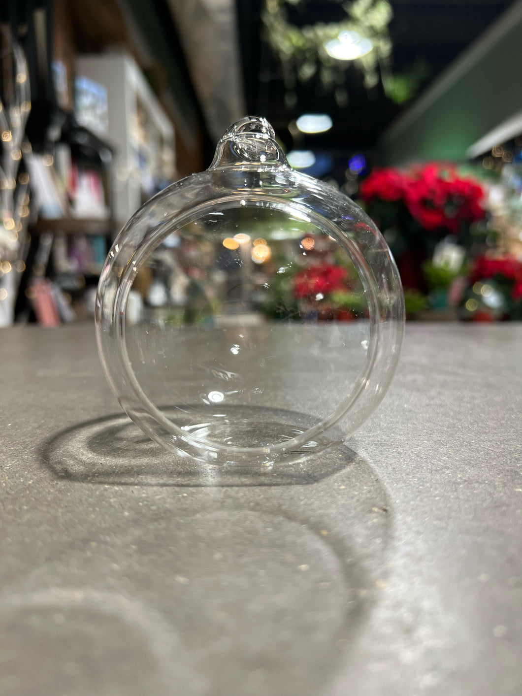 Glass Globe Ornament / Terrarium