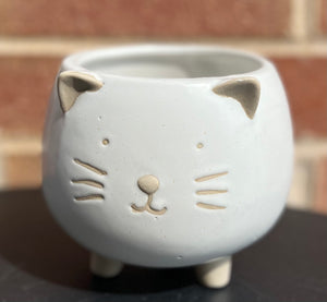 Cat Planter