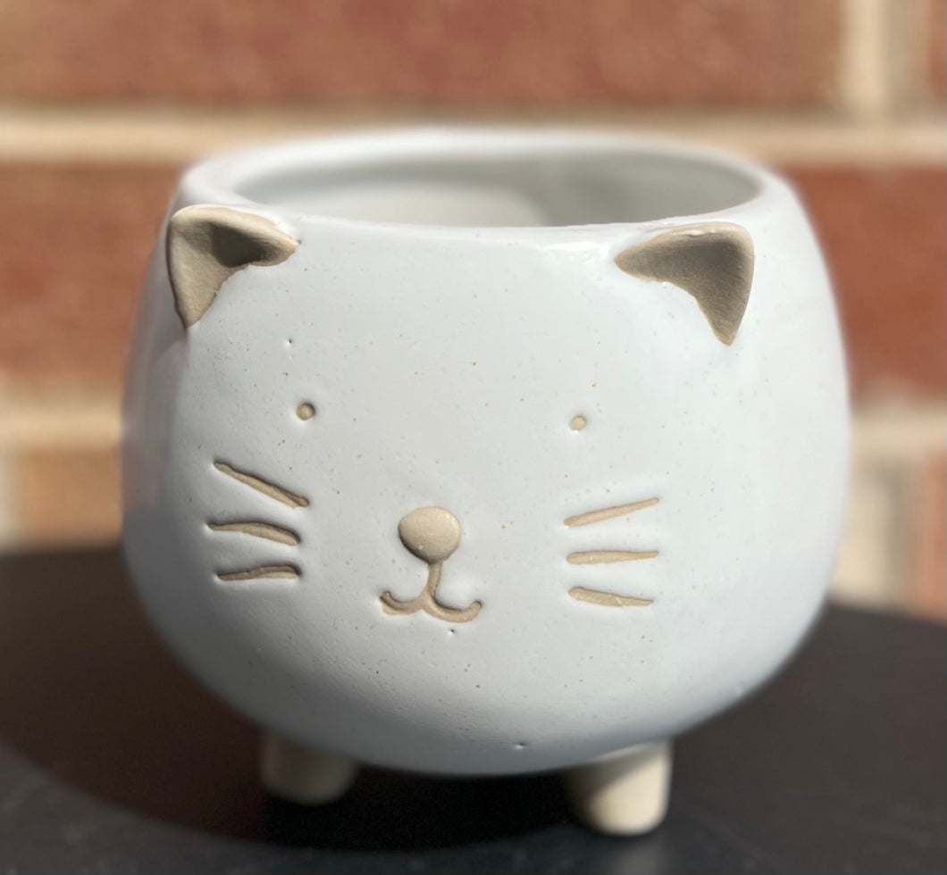 Cat Planter