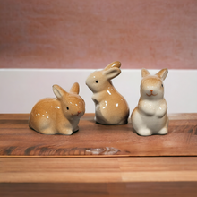 Load image into Gallery viewer, Mini Porcelain Bunnies - Assorted
