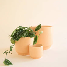 Load image into Gallery viewer, Parker Pot | Sunset Speckle - 6.75 inch
