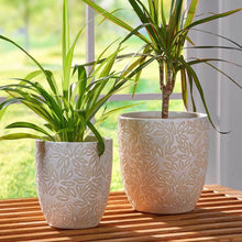 Load image into Gallery viewer, Lg Tana Leaves Ceramic Pottery Planter
