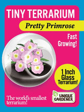 Load image into Gallery viewer, Tiny Terrariums Flowering
