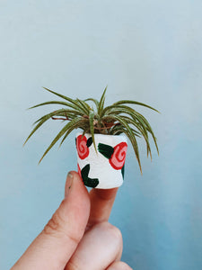 The Rosey Pot