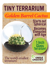 Load image into Gallery viewer, Tiny Terrarium Cactus
