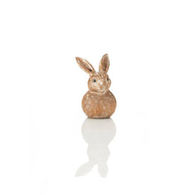 Load image into Gallery viewer, Bunny Buddy - Small
