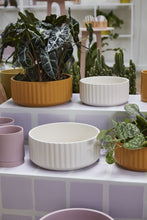 Load image into Gallery viewer, 8&quot; Beam Bowl
