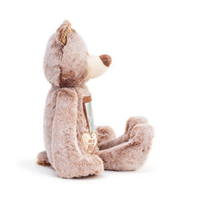 Load image into Gallery viewer, Here to Hug Bear - Brown
