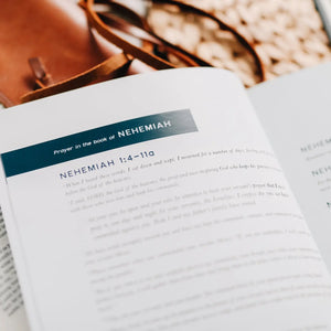 Arise -  A Study on the book of Nehemiah