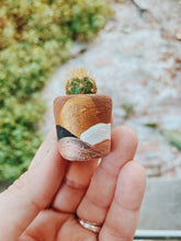 Load image into Gallery viewer, The Hope Pot Mini Planter with Plant
