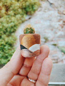 The Hope Pot Mini Planter with Plant