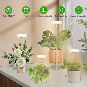 LED Grow Light