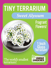 Load image into Gallery viewer, Tiny Terrariums Flowering
